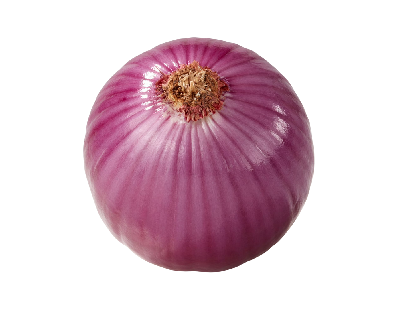 Cebolla Morada Unidad